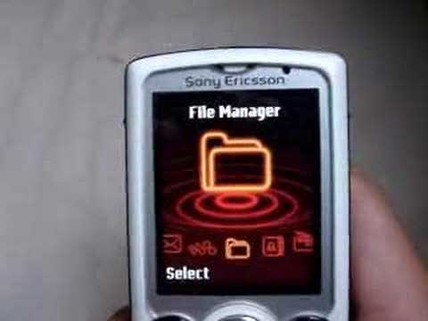 Sony Ericsson Walkman W810i User Manual